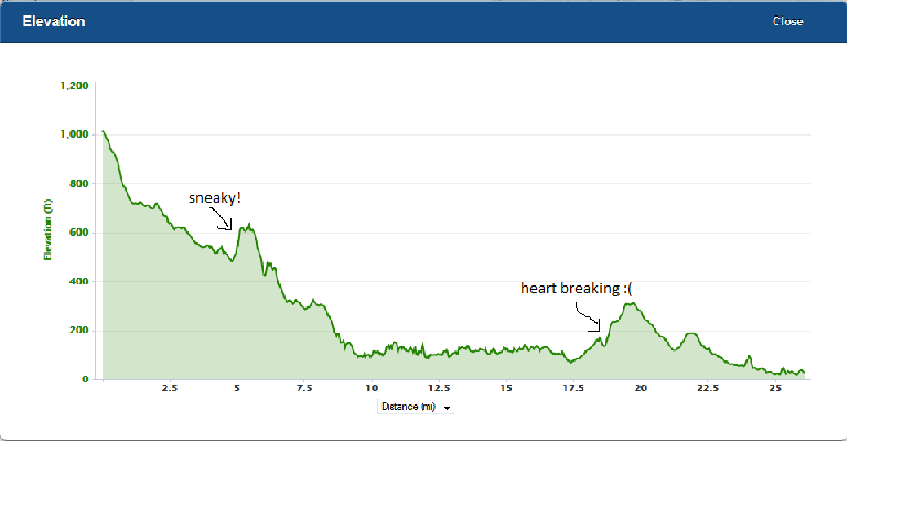The course elevation. Didn't realise how high we had started until I looked at this!